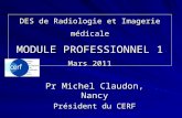 DES de Radiologie et Imagerie médicale MODULE PROFESSIONNEL 1 Mars 2011 Pr Michel Claudon, Nancy Président du CERF.