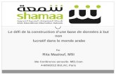 Le défi de la construction dune base de données à but non lucratif dans le monde arabe Par Rita Maalouf, MSI 34e Conférence annuelle- MELCom 4-6/06/2012.