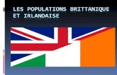Les populations brittanique et irlandaise Au début du 19e siècle, la population a beaucoup augmenté en Amérique du nord! Vers le milieu du 19e siècle.
