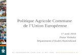 1 Politique Agricole Commune de lUnion Européenne 17 avril 2010 Pieter Verhelst Département détudes Boerenbond.