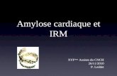 Amylose cardiaque et IRM XVI èmes Assises du CNCH 26/11/2010 P. Leddet.