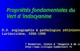 Propriétés fondamentales du Vert d indocyanine D.U. angiographie & pathologies rétiniennes Lariboisière, 1998-1999 T Desmettre, Centre d Imagerie & de.