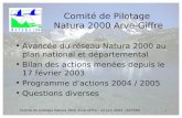 Comité de pilotage Natura 2000 Arve-Giffre - 22 juin 2004 - ASTERS1 Comité de Pilotage Natura 2000 Arve-Giffre Avancée du réseau Natura 2000 au plan national.