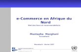 1 Conseil Communication et Web Études et Conseil en TIC UNECA e-Commerce en Afrique du Nord Etat des lieux et recommandations Mustapha Mezghani Consultant.
