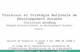 Christian Brodhag – DIDD France -  Processus et Stratégie Nationale de Développement Durable Christian Brodhag Délégué Interministériel.
