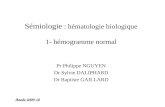 Sémiologie : hématologie biologique 1- hémogramme normal Pr Philippe NGUYEN Dr Sylvie DALIPHARD Dr Baptiste GAILLARD Année 2009-10.