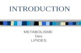 INTRODUCTION METABOLISME Des LIPIDES. Le métabo. des lipoprotéines se conçoit selon deux courants : un courant entre les lieux de synthèse vers les tissus.