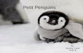 Petit Penguins By: Kendra J and Kelly B. Petit Penguins est de coucher avec ses amis.