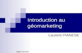 Introduction au géomarketing Laurent PIANESE Master 2 IE STAT.