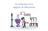 La rédaction dun rapport de laboratoire. Un rapport de laboratoire contient : une introduction; une conclusion. une discussion (questions, etc.); les.