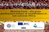 Missing Food – the grain postharvest losses of smallholders in sub-saharan Africa JRC Aliments manquants - les pertes de grain après la récolte au niveau.