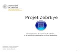 Projet ZebrEye Développement dun système de création et de gestion de codes barres en deux dimensions Professeur : Dimitri Konstantas Superviseur : Michel.