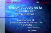 Enjeux et outils de la modélisation participative : Expériences et questionnements au sein du TR USAGES UMR G-EAU Olivier Barreteau Nils Ferrand.
