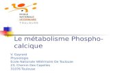 Le métabolisme Phospho- calcique V. Gayrard Physiologie Ecole Nationale Vétérinaire De Toulouse 23, Chemin Des Capelles 31076 Toulouse ECOLE NATIONALE.