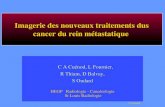 CA Cuenod Imagerie des nouveaux traitements dus cancer du rein métastatique C A Cuénod, L Fournier, R Thiam, D Balvay, S Oudard HEGP Radiologie - Cancérologie.
