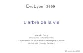 Larbre de la vie Manolo Gouy Directeur de recherche CNRS Laboratoire de Biométrie & Biologie Evolutive Université Claude Bernard E vo L yon 2009 25 novembre.