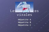 Les hépatites virales Hépatite A Hépatite B Hépatite C.