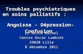 Troubles psychiatriques en soins palliatifs : Angoisse - Dépression-Confusion Dr REICH Michel Centre Oscar Lambret 59020 Lille 8 décembre 2011.