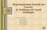 1 Représentation Sociale du Cancer & Politique de Santé Publique Présentée par Olympe Velozo Sandra Pallay Stéphanie Gaussé Gaelle Besnard Caroline Garcia.