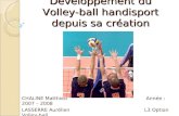 Développement du Volley-ball handisport depuis sa création CHALINE Matthieu Année : 2007 – 2008 LASSERRE Aurélien L3 Option Volley-ball Université dOrléans.
