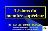 Lésions du membre supérieur Dr Carlos LOPEZ GRANADA Service dOrthopédie et Traumatologie Centre Hospitalier de Salon de Provence.