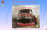 Service Départemental dIncendie et de Secours des Alpes de Haute Provence Rôle de léquipier feux de forêts.