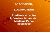 L APPAREIL LOCOMOTEUR Étudiants en soins Infirmiers 1er année Madame Pervé 2008/2009.