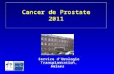 Cancer de Prostate 2011 Service dUrologie Transplantation, Amiens.