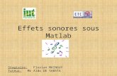 Effets sonores sous Matlab Stagiaire: Florian MAINGUY Tuteur: Mr Aldo DE SABATA.