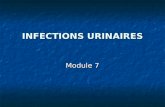 INFECTIONS URINAIRES Module 7. Un homme de 64 ans consulte pour des troubles mictionnels. Depuis quelques jours, il urine très fréquemment et ses mictions.