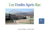 Lycée A Bergès – Janvier 2010. ETUDES PROFESSIONNELLES OU ETUDES GENERALES ?