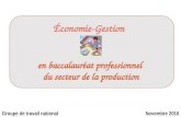 Économie-Gestion en baccalauréat professionnel du secteur de la production Groupe de travail nationalNovembre 2010.