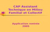 CAP Assistant Technique en Milieu Familial et Collectif Application rentrée 2005.