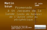 Promenade à St Jacques de la lande ( près de Rennes) de lautre côté du périphérique Matin brun En évitant de faire des rapprochements avec des faits ayant.