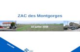 ZAC des Montgorges 10 juillet 2008 Juillet 2008. Rappel du programme La zone mesure environ 33 ha. 2/3 habitat et 1/3 activités, en façade de RN10. La.