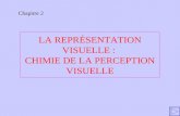 LA REPRÉSENTATION VISUELLE : CHIMIE DE LA PERCEPTION VISUELLE Chapitre 2.