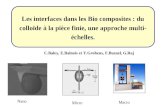 Les interfaces dans les Bio composites : du colloïde à la pièce finie, une approche multi- échelles. Nano Micro Macro C.Baley, E.Balnois et Y.Grohens,