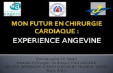 EXPERIENCE ANGEVINE Emmanuelle LE SAUX Interne Chirurgie Cardiaque CHU ANGERS CFCTCV SEMINAIRE DENSEIGNEMENT FRANCE- OUEST Mars 2013.