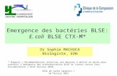 Pôle de santé langrois / 10 février 2011 Emergence des bactéries BLSE: E. coli BLSE CTX-M* Dr Sophie MACHUCA Biologiste, EOH * Rapport « Recommandations.