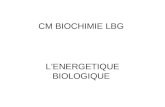 CM BIOCHIMIE LBG LENERGETIQUE BIOLOGIQUE. I) INTRODUCTION.