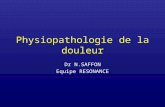 Physiopathologie de la douleur Dr N.SAFFON Equipe RESONANCE.