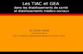 Les TIAC et GEA dans les établissements de santé et établissements médico-sociaux Dr Zoher KADI CCLIN Paris-Nord DU d Hygiène Hospitalière Amiens 8 février.