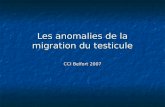 Les anomalies de la migration du testicule CCI Belfort 2007.