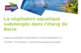 La végétation aquatique submergée dans létang de Berre Guillaume BERNARD 1, BONHOMME P 2, BOUDOURESQUE CF. 3 1 GIPREB, 2 GIS Posidonie, 3 Centre dOcéanologie.