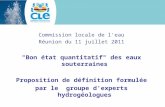 Commission locale de l'eau Réunion du 11 juillet 2011 "Bon état quantitatif" des eaux souterraines Proposition de définition formulée par le groupe d'experts.