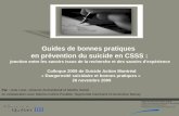 Guides de bonnes pratiques en prévention du suicide en CSSS : jonction entre les savoirs issus de la recherche et des savoirs dexpérience Colloque 2009.