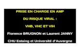 PRISE EN CHARGE EN AMP DU RISQUE VIRAL : VHB, VHC ET VIH Florence BRUGNON et Laurent JANNY CHU Estaing et Université dAuvergne.