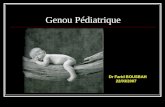 Genou P©diatrique Dr Farid BOUSBAH 22/03/2007. Anatomie du genou