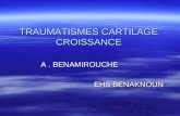 TRAUMATISMES CARTILAGE CROISSANCE A. BENAMIROUCHE EHS BENAKNOUN EHS BENAKNOUN.