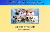PROJET LIBERTÉ SYNDICALE Centre international de formation de lOIT (C.87 et C.98) Liberté syndicale.